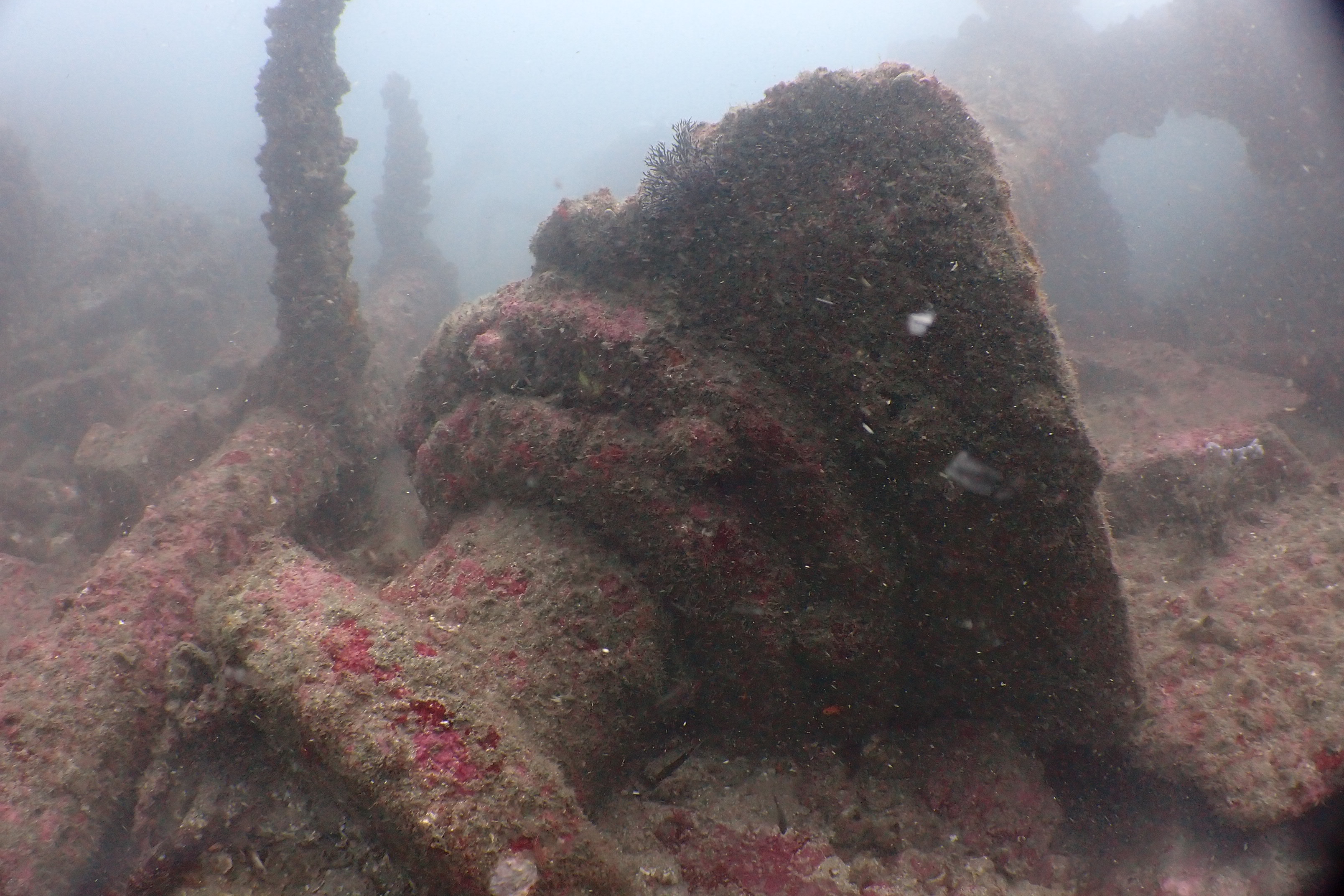 倫巴第汽輪(武州丸)