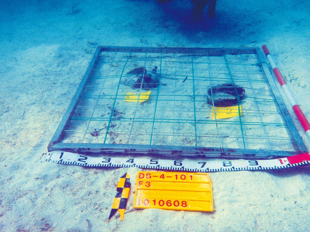 水下考古的探方標示物件遠景照片